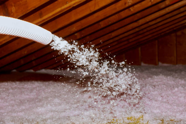 Best Spray Foam Insulation in Romney, WV