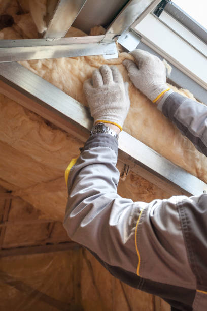 Best Eco-Friendly Insulation in Romney, WV