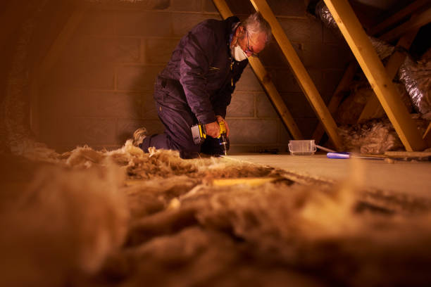 Trusted Romney, WV Insulation Contractor Experts